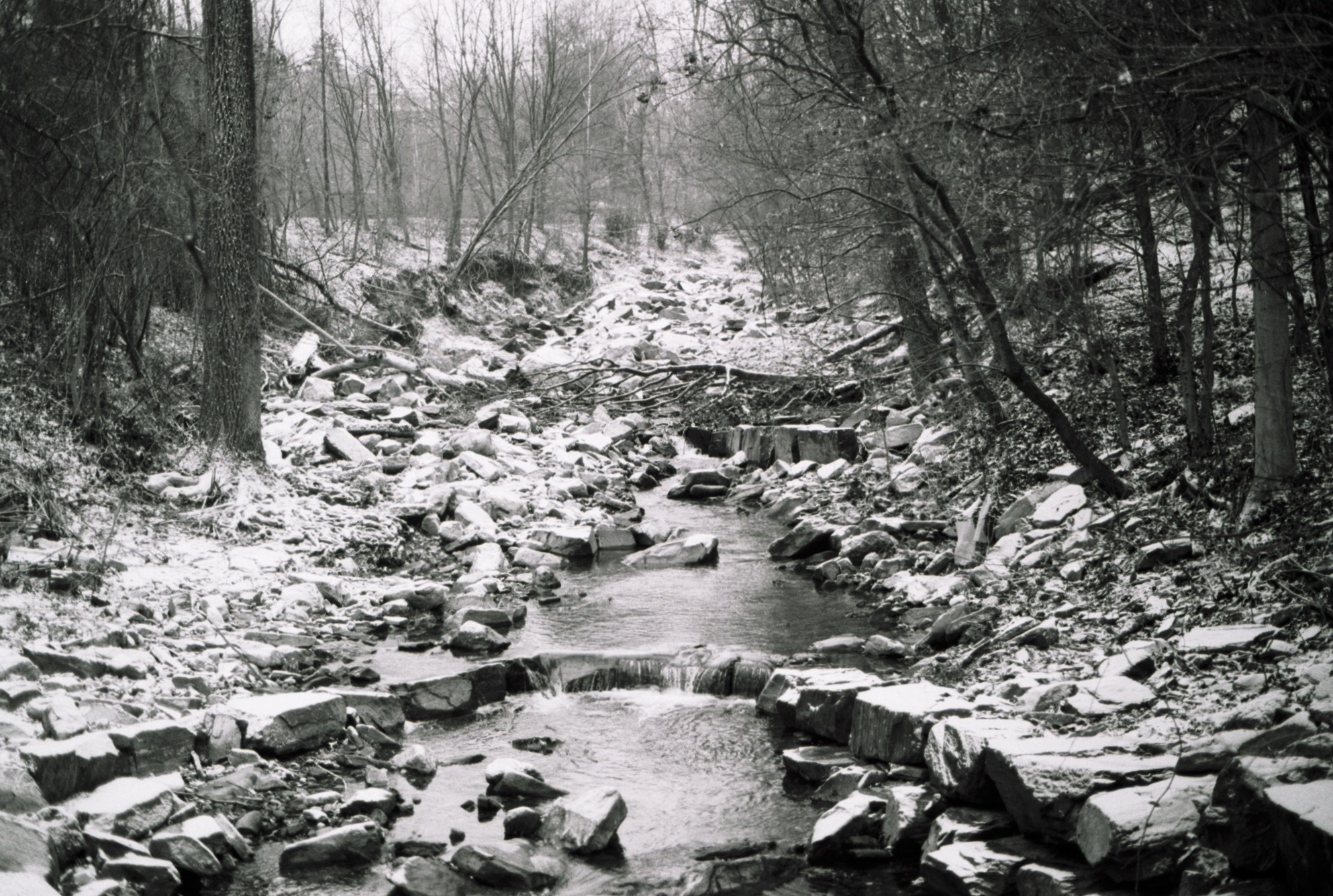 Snowy stream